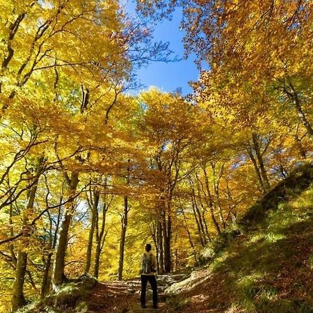 Casa Morena Locazione Turistica Malesco Eksteriør bilde